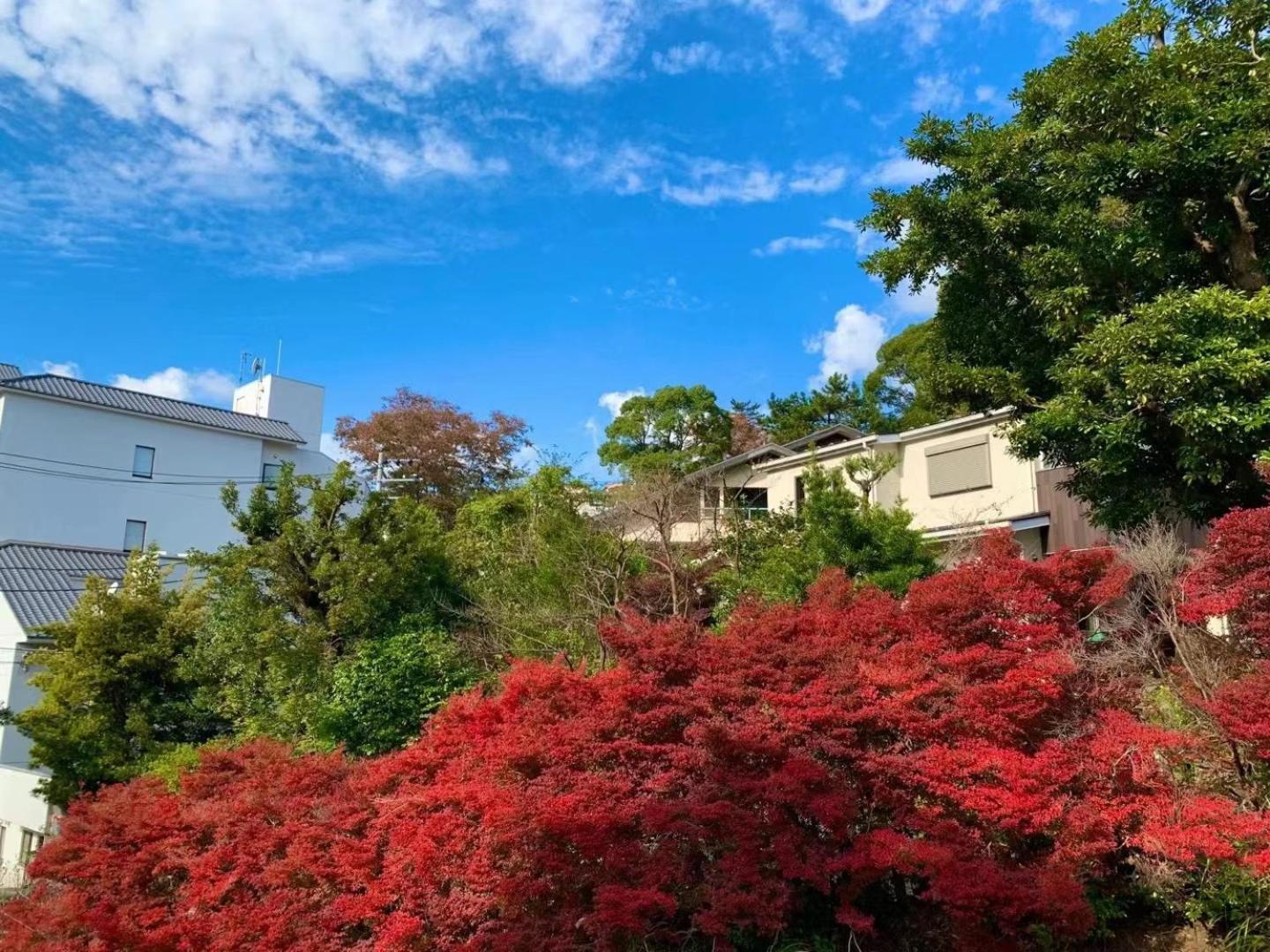 Hotel 雅竹miyabitake Miyakami Exterior foto